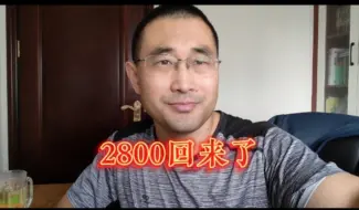 Descargar video: 4900家上涨，2800回来了，太强了