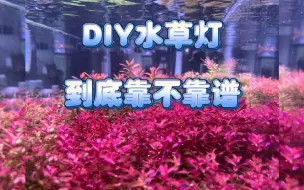 Tải video: 草缸.DIY水草灯到底靠不靠谱，是不是智商税