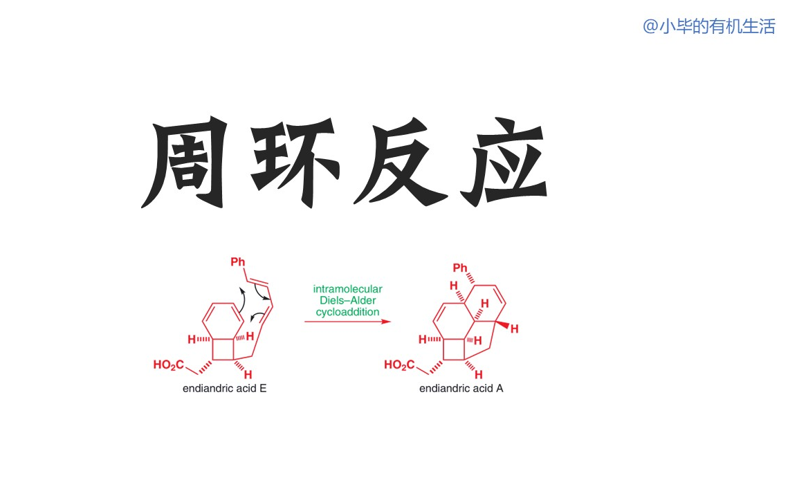 [图]11周环反应