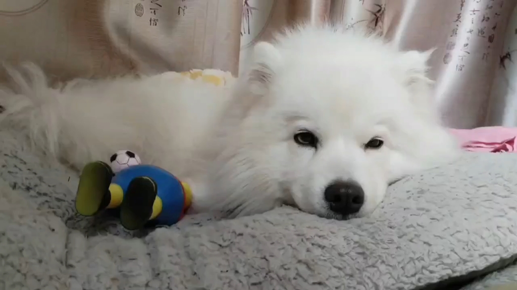 无聊到只能睡觉