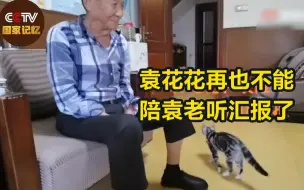 Descargar video: 泪目！袁花花再也不能陪袁老听汇报了