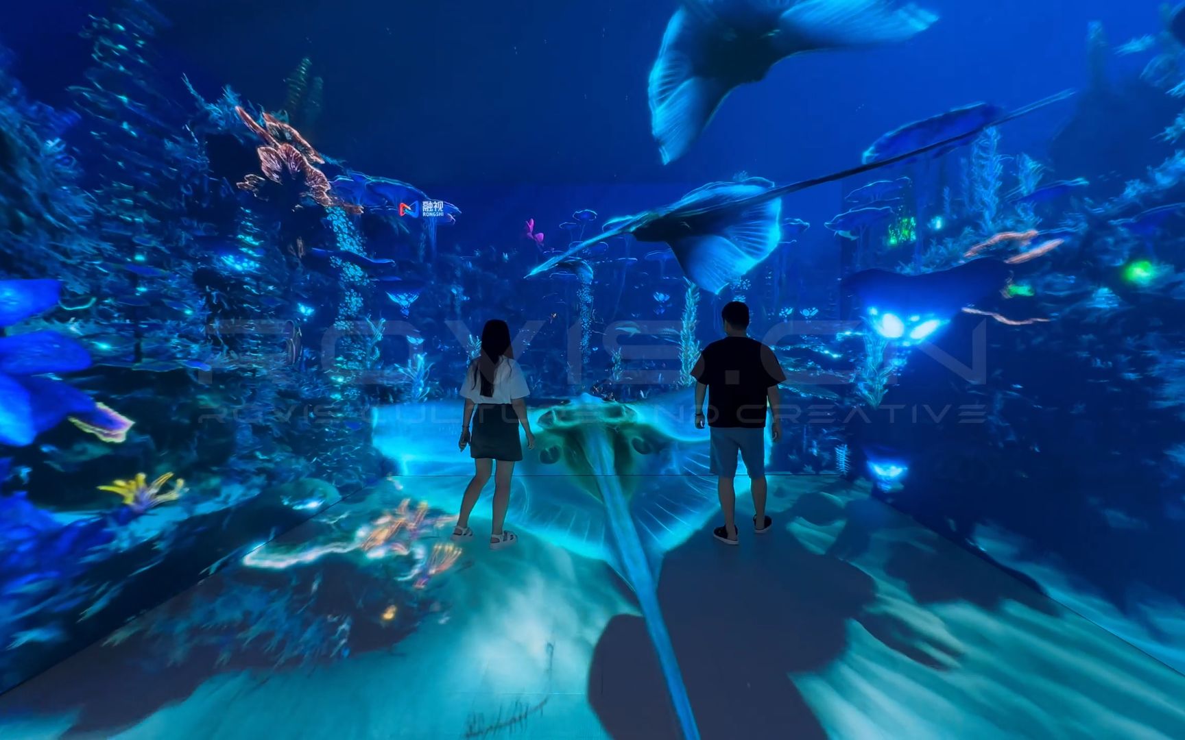 沉浸式cave体验 |「异星海底」720场景素材