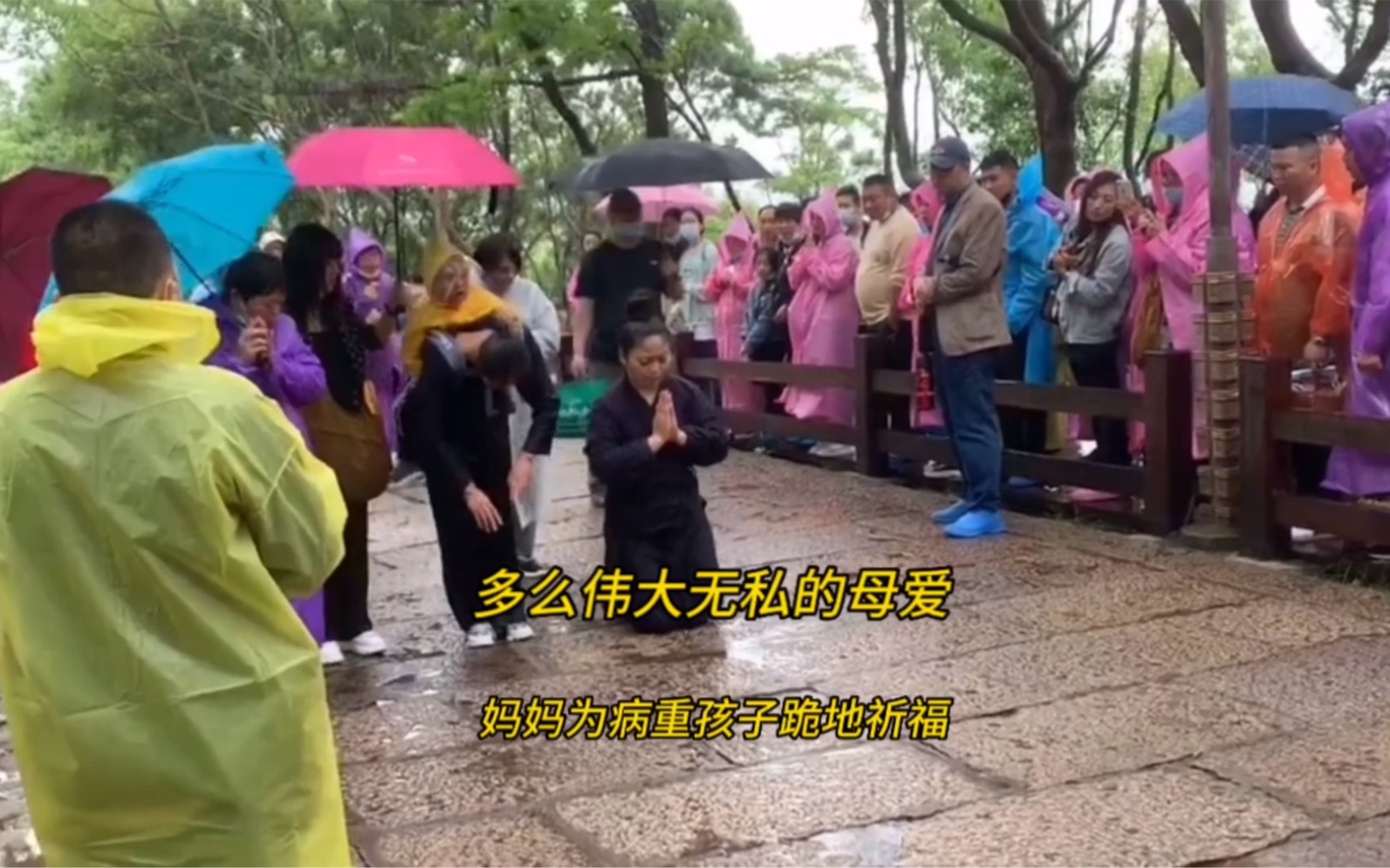 [图]伟大母爱！普陀山下，妈妈背着孩子，在雨中三步一叩首为病重孩子跪地祈福