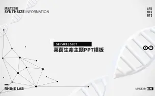 Download Video: [明日方舟]自制莱茵生命主题PPT模板，评论区自取