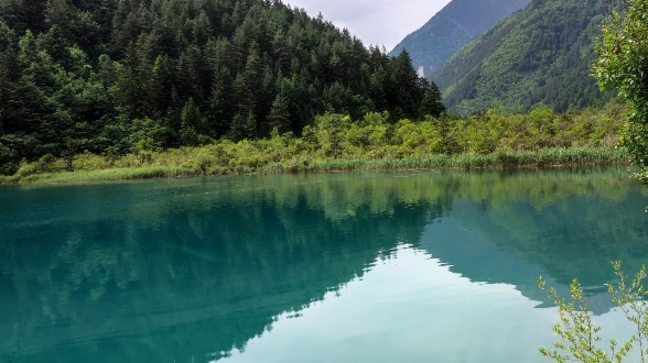 九寨沟老虎海图片