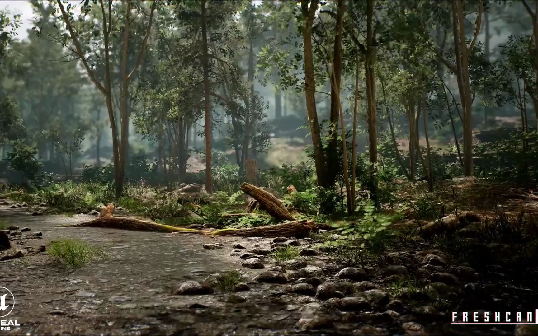 自然环境森林植物树木草地场景unreal游戏素材 演示视频 rrcg