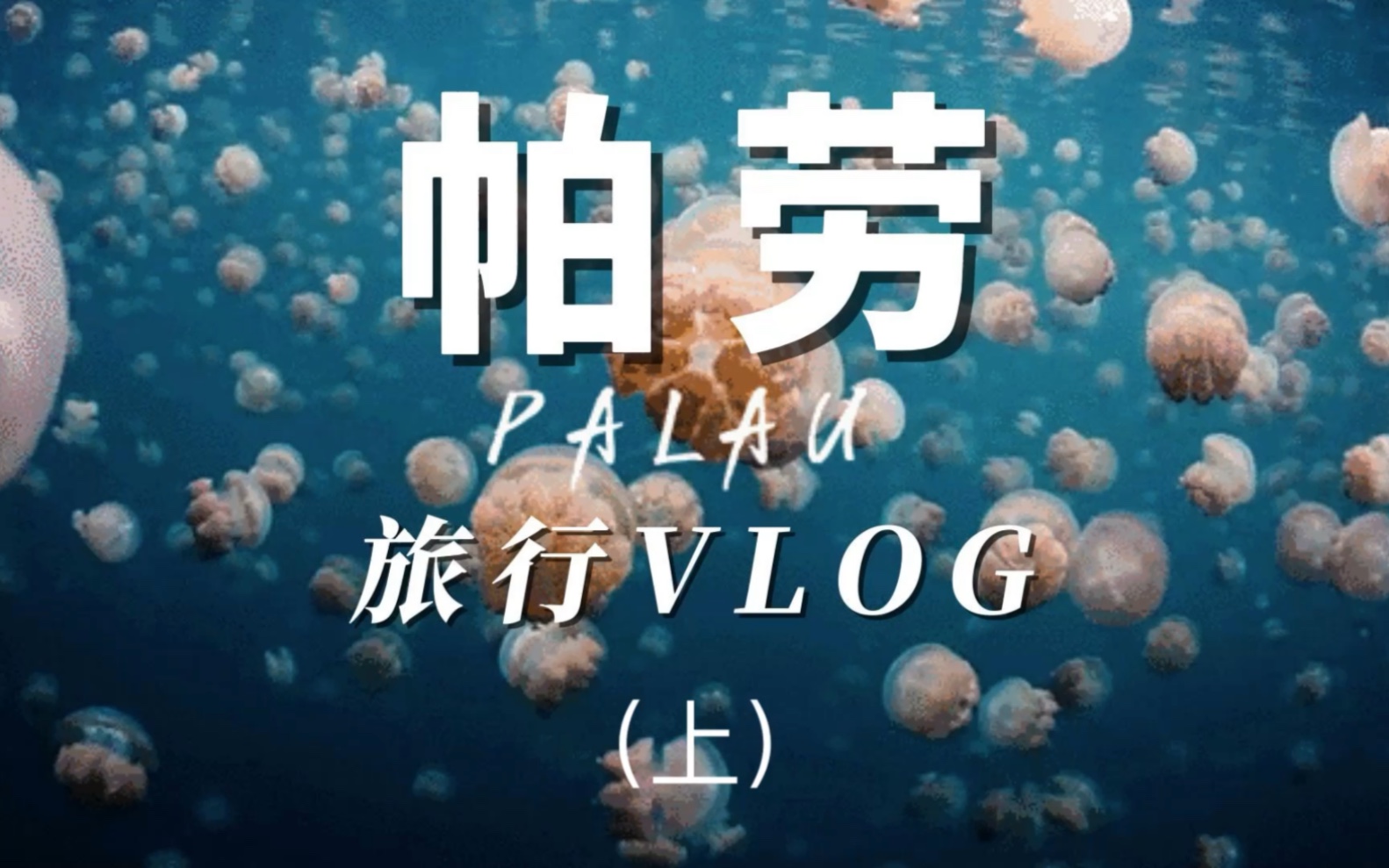 帕劳旅行vlog(上)哔哩哔哩bilibili