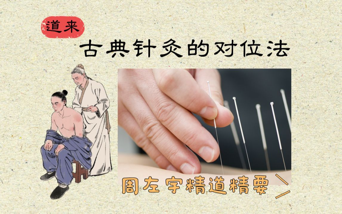 【周左宇医道精要08】古典针灸的对位法哔哩哔哩bilibili