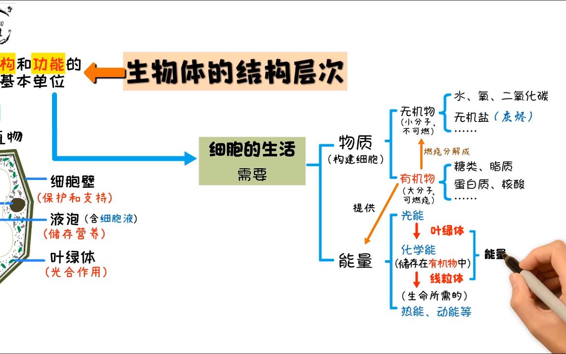 4生物体的结构层次哔哩哔哩bilibili