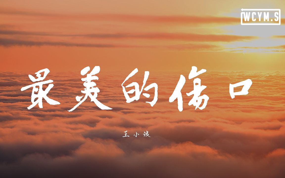 [图]王小浪 - 最美的伤口(抖音版) (Cover: 抖音)【動態歌詞/Lyrics Video】