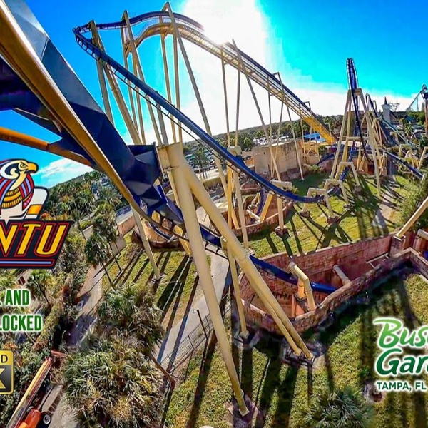 SheiKra Front Row POV Ride at Busch Gardens Tampa Bay on Roller