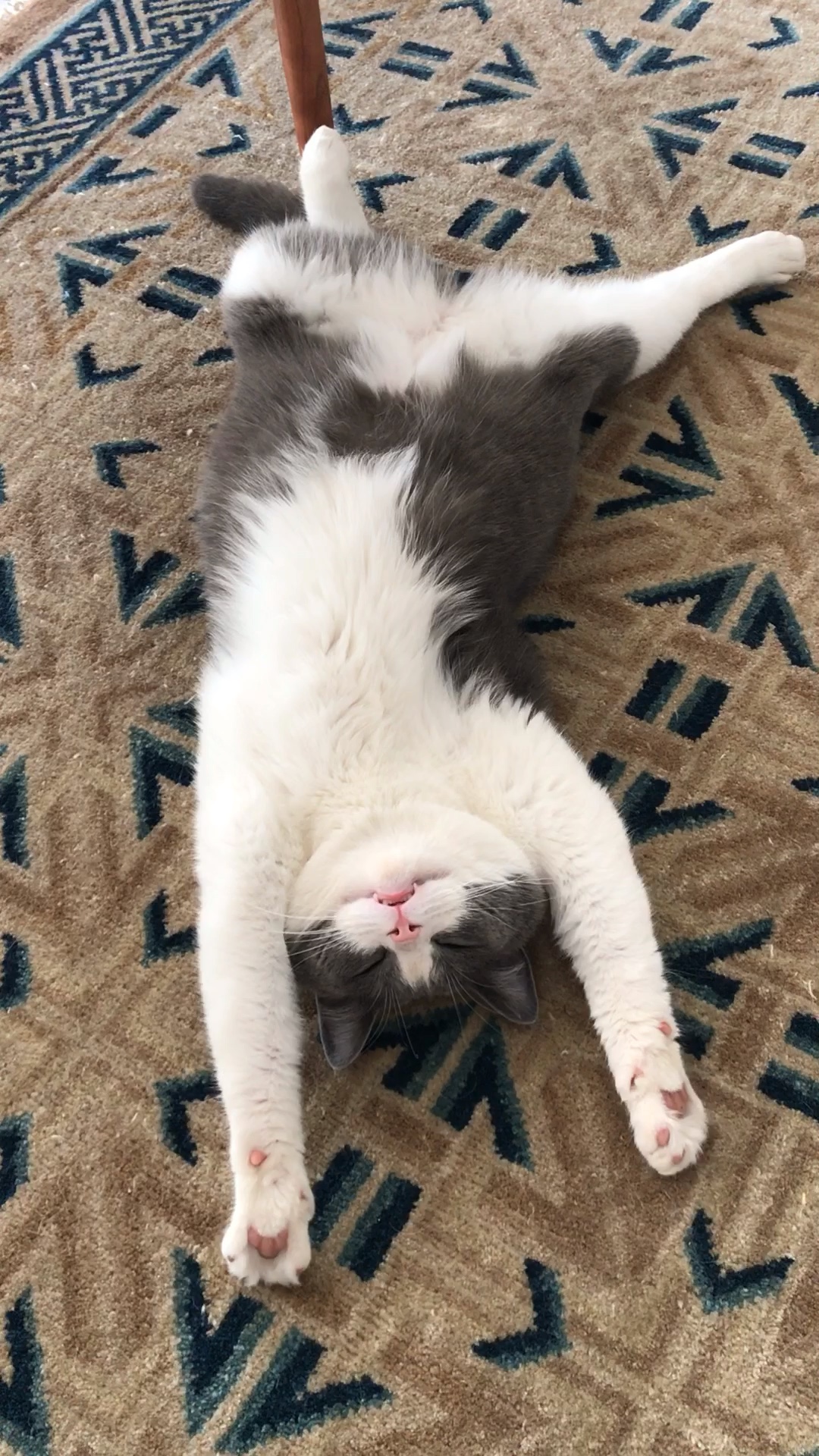 用正确的方式躺平