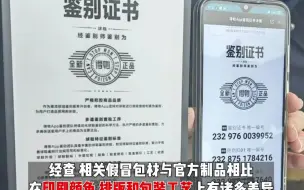 Download Video: 上海警方查获75吨仿冒“得物”电商平台的蓝色包装，案值超2000万元。