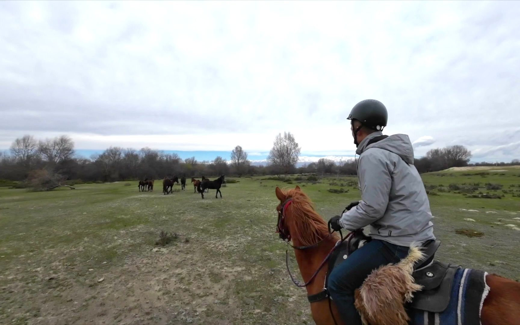 【新疆騎馬旅行馬術secret horseback】137 隊員伊犁河谷溼地草原追馬