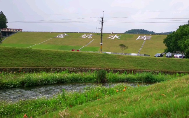 青田金坑水库图片