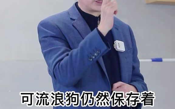 狗狗的各器官功能哔哩哔哩bilibili