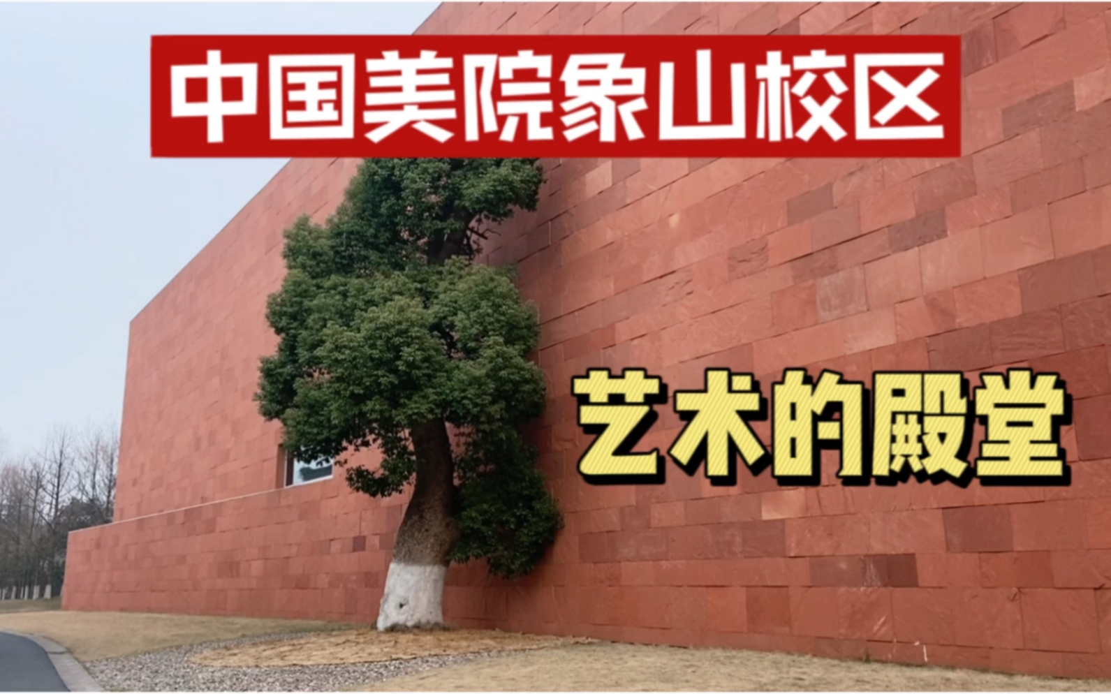 传说中的“中国最美校园”,建筑独特,艺术的殿堂哔哩哔哩bilibili