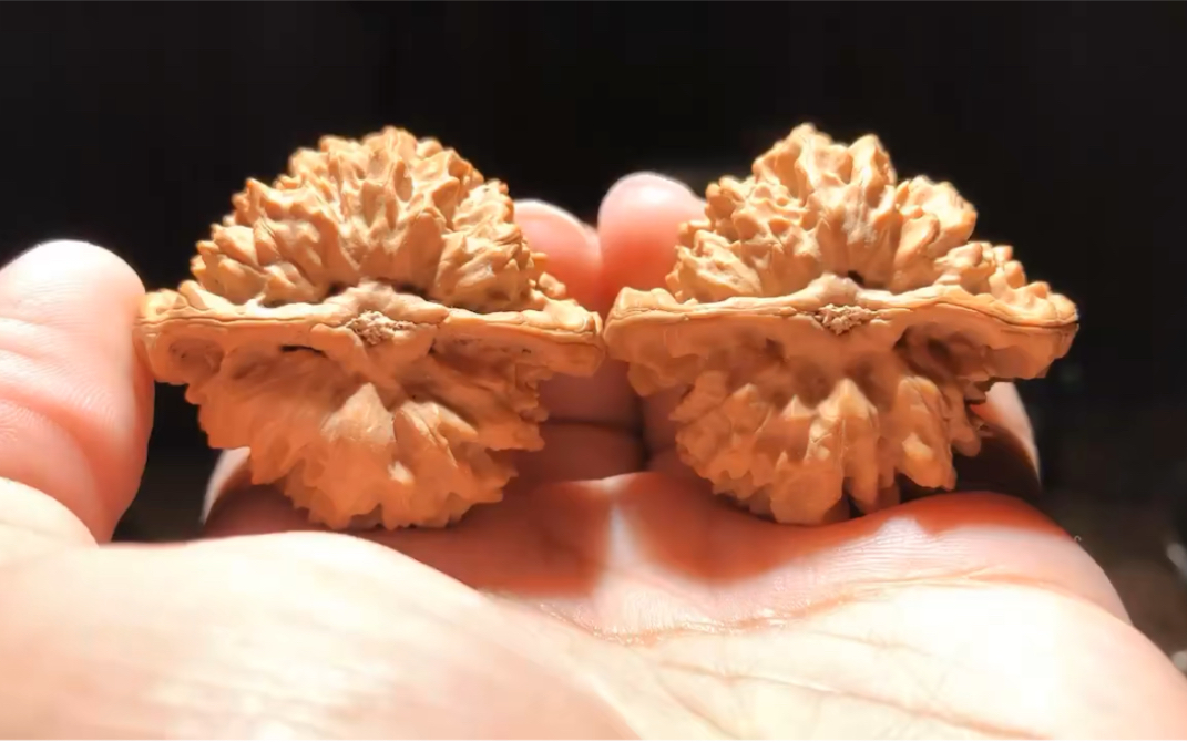 顶级京八对文玩核桃,超级嘟嘟唇,尺寸44×39高度37,工作号kanhetao