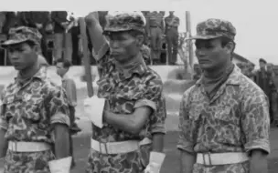 Download Video: 【历史影像】阮文绍中将视察波来古训练中心的高地民族士兵（1966年）