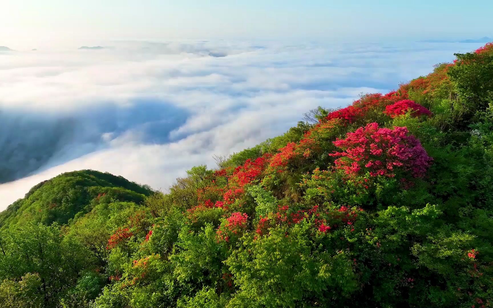 61安徽宁国"全国摄影大展入展作品公示:赵千慧《欢快畲乡迎客来》