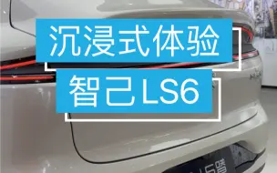 Download Video: 【智己LS6】沉浸式体验 feat.内饰/储物空间/氛围灯/功能/音响试听 | 休息狂