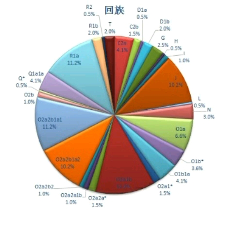 中国各民族基因图谱图片