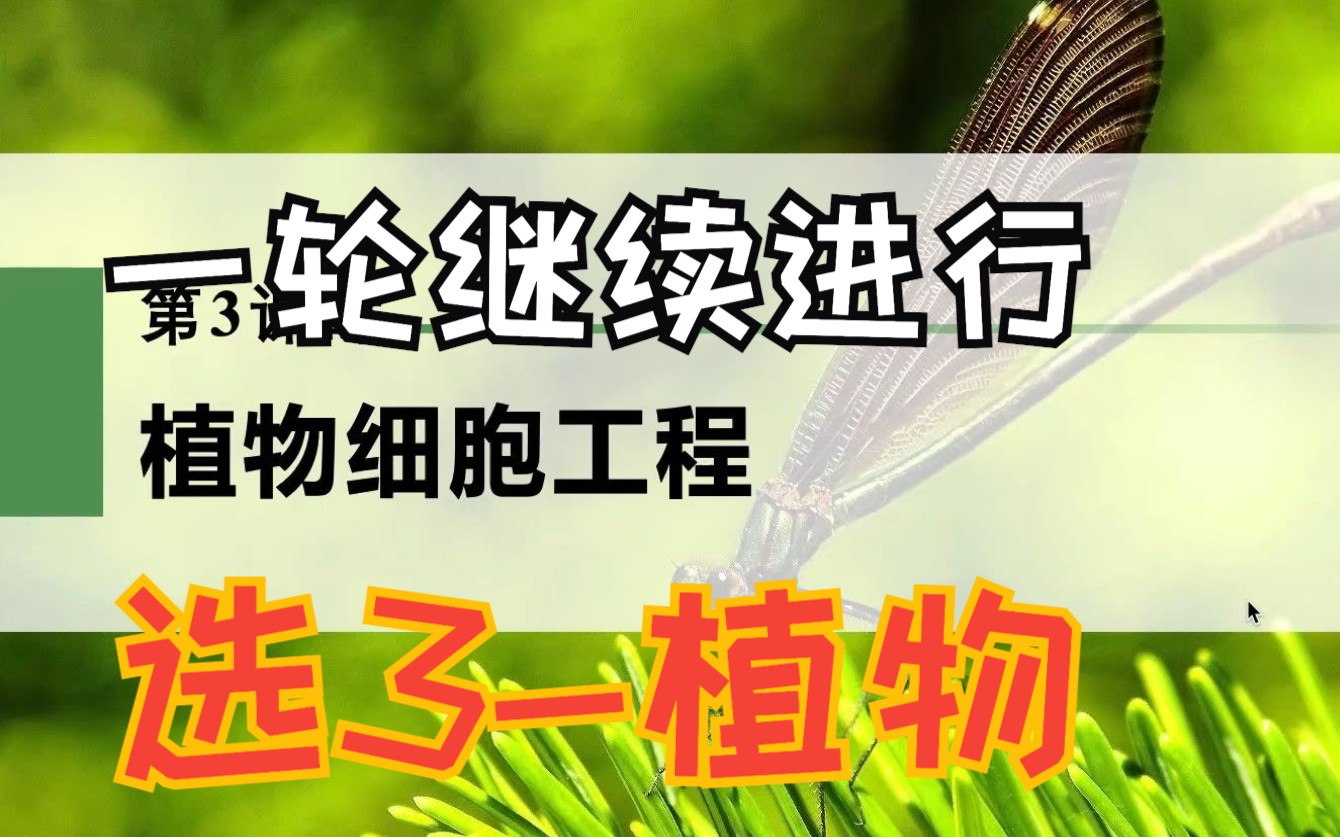 【高中生物一轮复习】10.31植物细胞工程植物体细胞杂交 新高考生物学新人教版步步高全国新课标网课哔哩哔哩bilibili