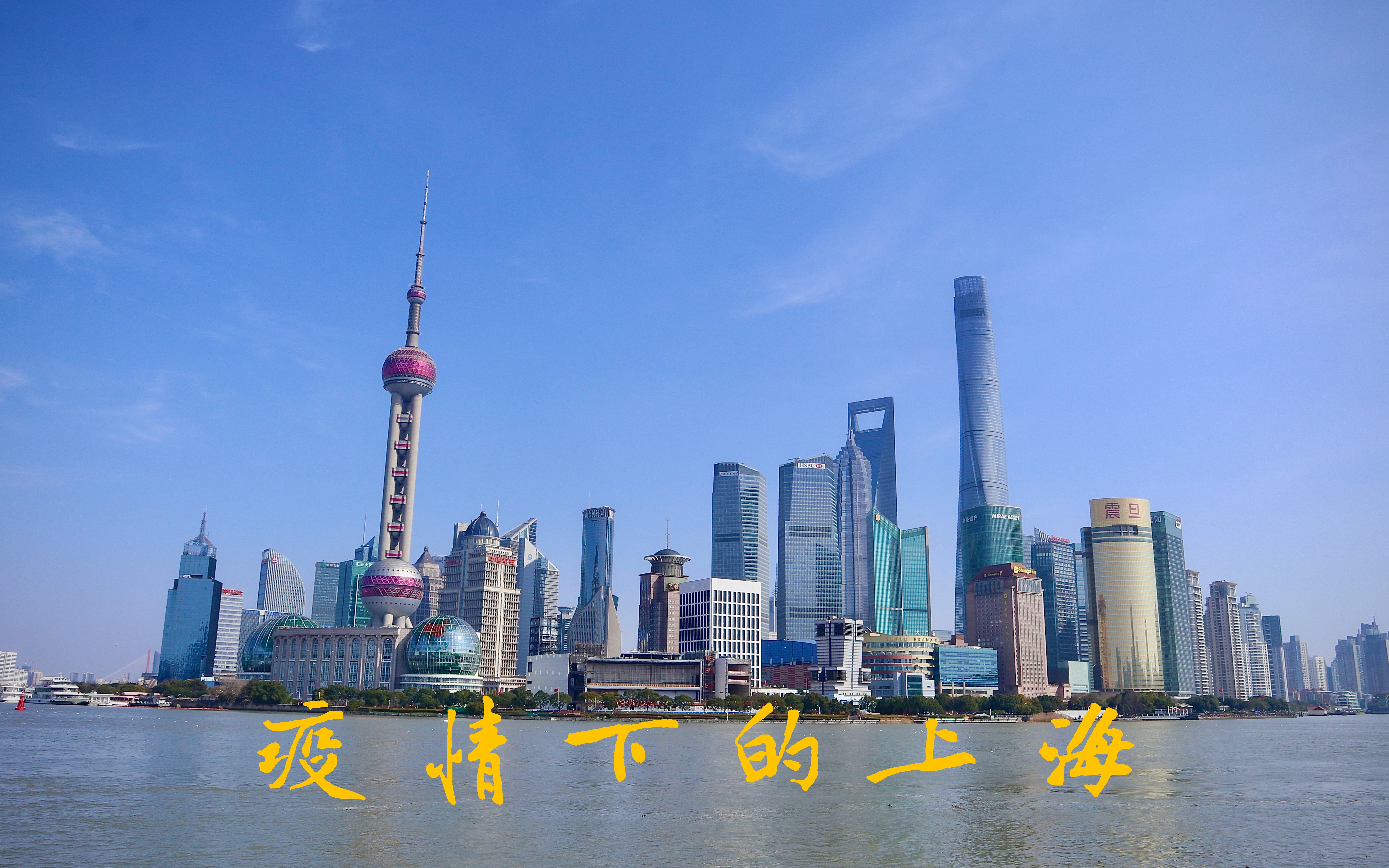 活动作品2月10日疫情下的上海是什么样的