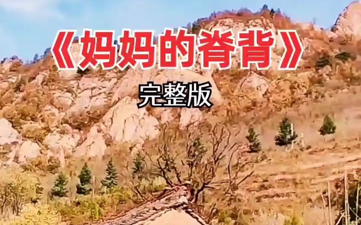 一首 妈妈的脊背 唱哭了多少儿女 可怜天下父母心