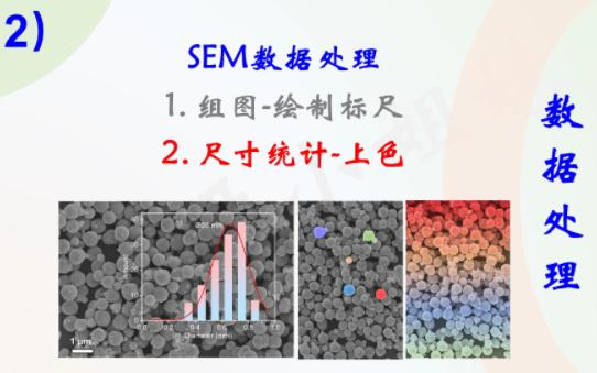 SEM数据处理(2)尺寸统计样品上色哔哩哔哩bilibili