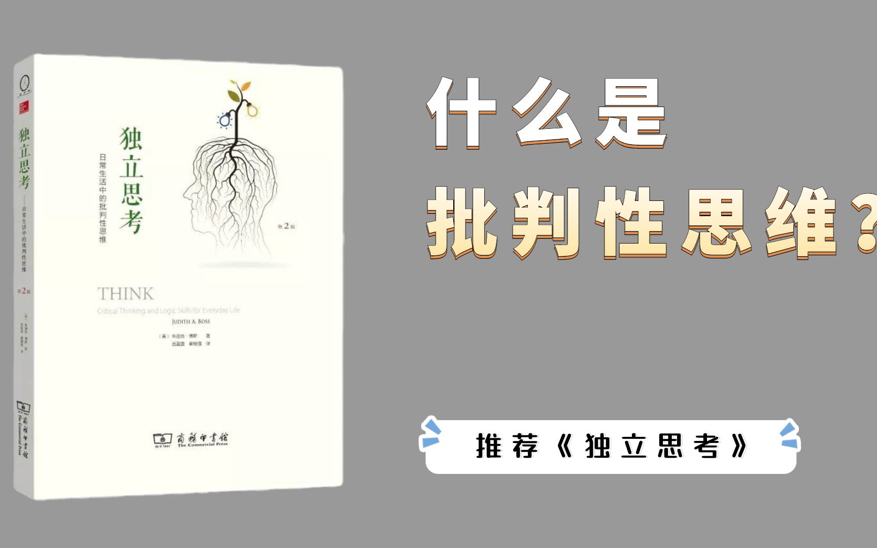 如果只读一本批判性思维的书,那无疑就是这本:《独立思考》哔哩哔哩bilibili