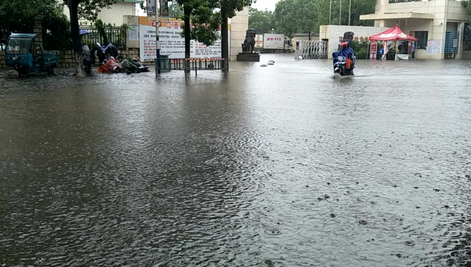 暴雨中樟树市药市路被淹了,康怡冰淇淋,江西康怡食品有限公司,学生做暑假工哔哩哔哩bilibili