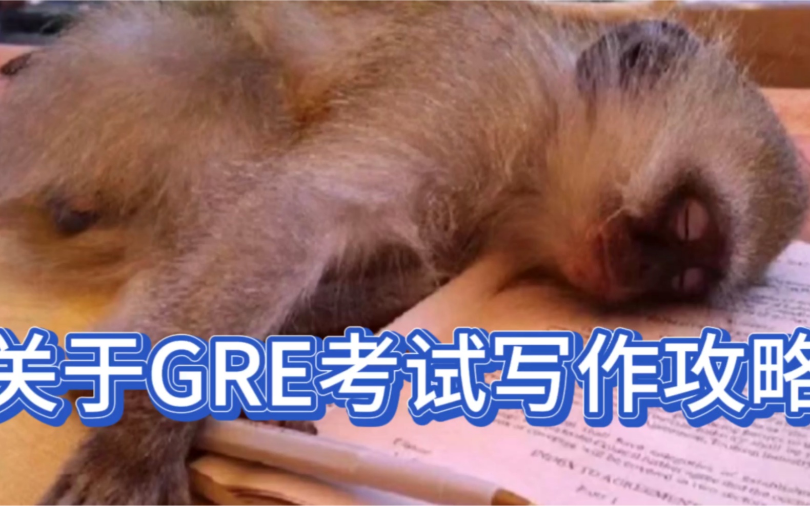 GRE写作实用小技巧 第四篇 GRE备考 GRE家考 GRE家庭版哔哩哔哩bilibili