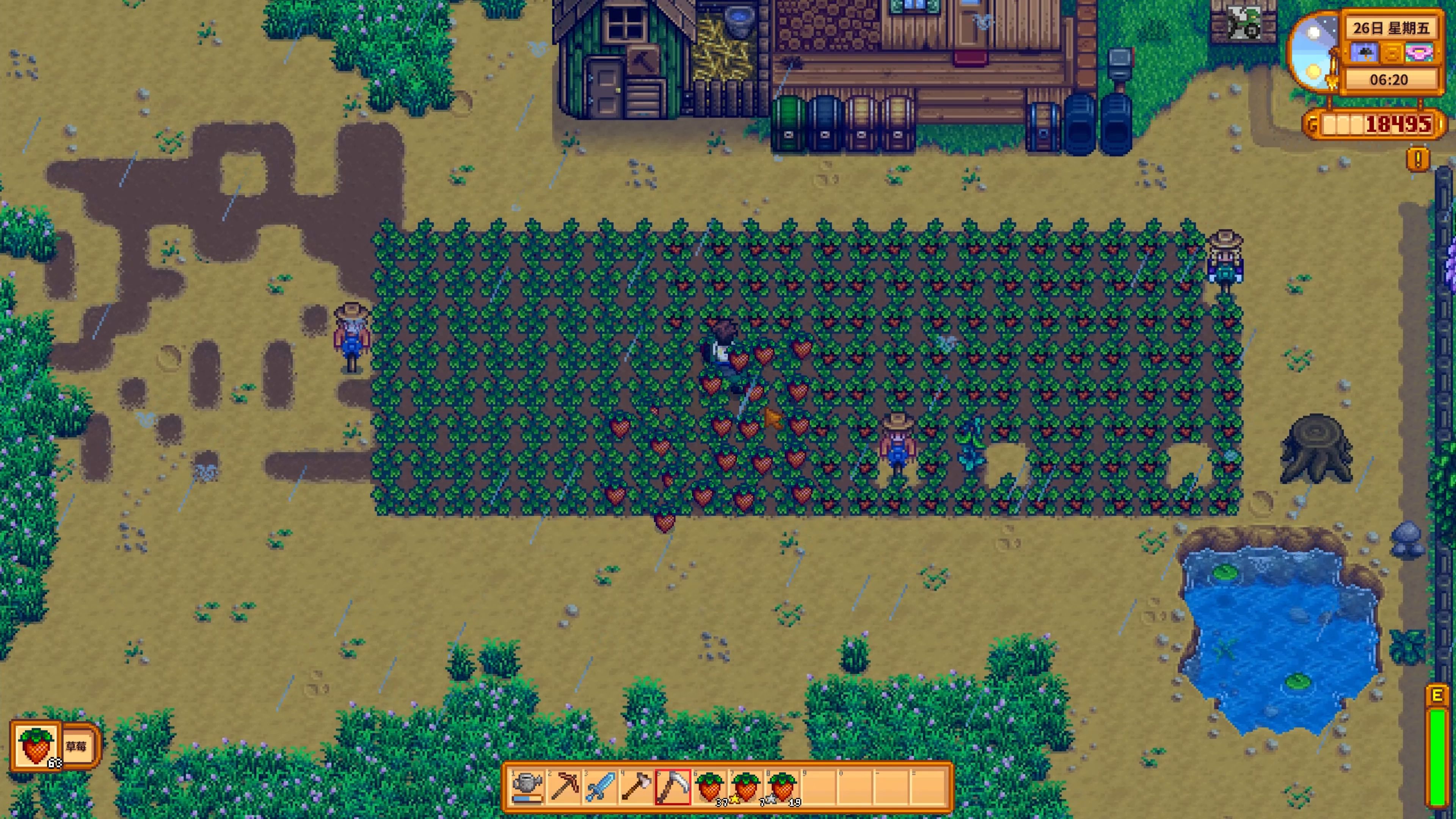 4k【星露谷物语】Stardew Valley 11期:钓春季鱼王、挖矿、买小鸡和鸭子、建造筒仓哔哩哔哩bilibili