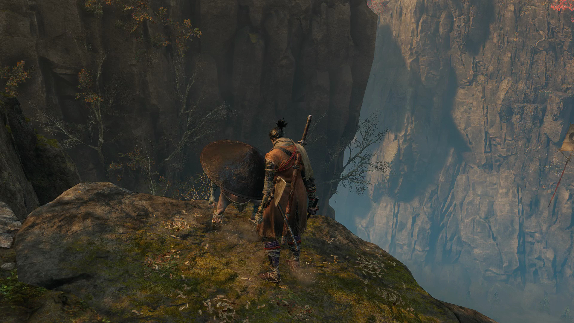 p21 只狼黑笠之狸支线(1-终)