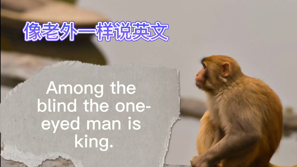 [图]像老外一样说英文-Among the blind, The One-eyed man is king!