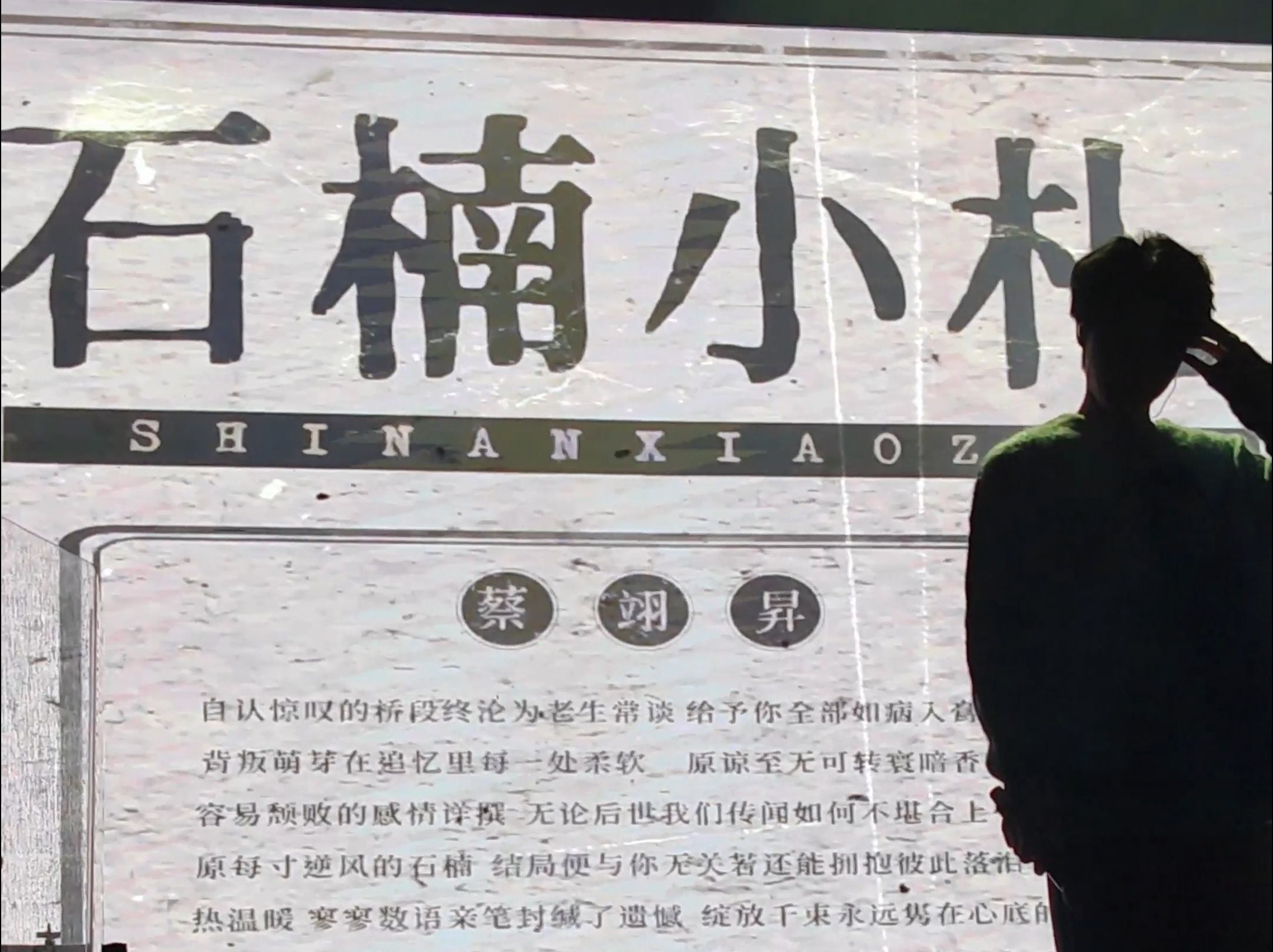 【石楠小札】贰婶_蔡翊昇 | 竖屏版 银临巡演广州站嘉宾独唱