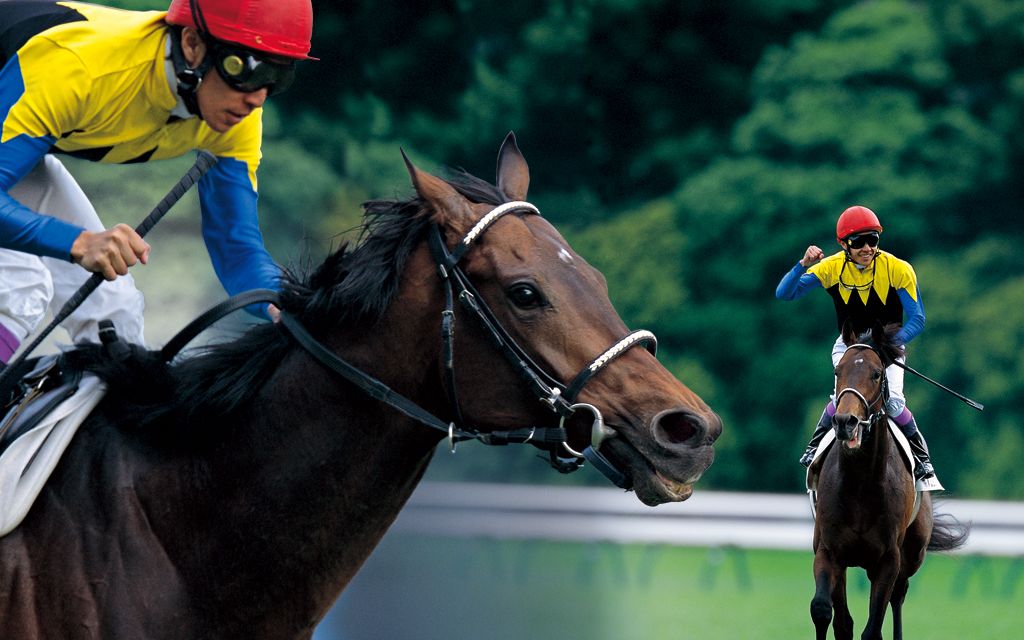 赛马大震撼的三冠赛皋月赏99日本达比99菊花赏