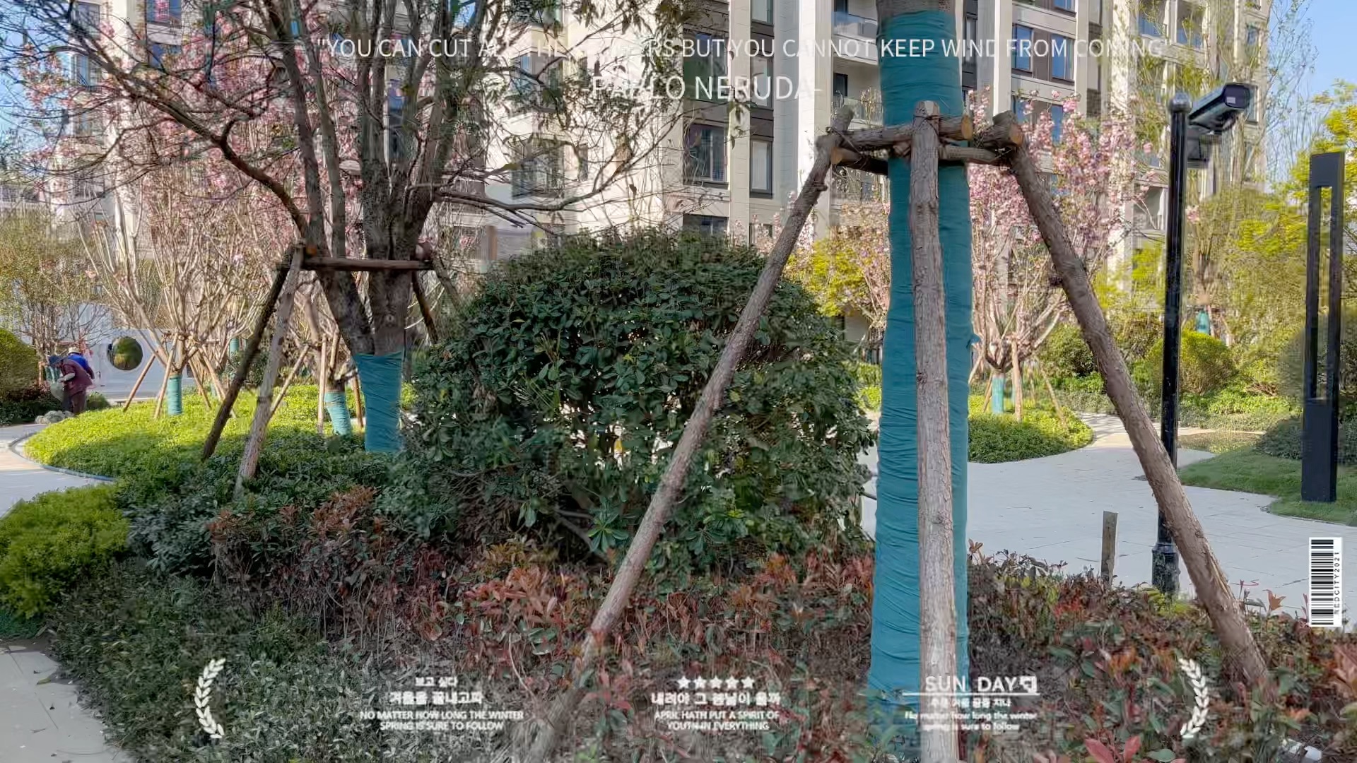 青浦大名城映湖2023年4月2号实拍