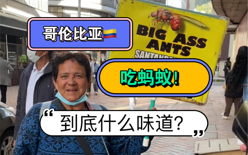 南美洲大蚂蚁居然可以吃?哥伦比亚街头美食居然是这样的!哔哩哔哩bilibili