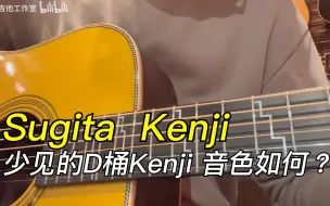 【 Kenji 但是D桶】一个制琴师的音色局限性由此可见