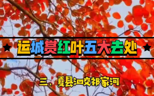 秋日外出打卡圣地你知道运城还能赏红叶吗?推荐这5大去处~哔哩哔哩bilibili