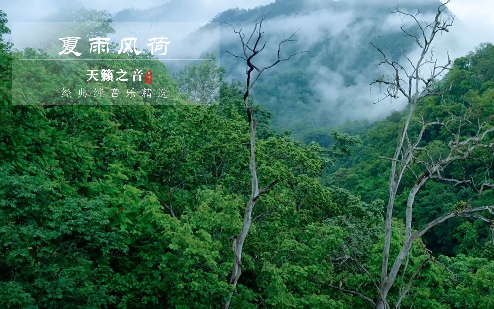 [图]经典纯音乐《夏雨风荷》古筝葫芦丝版，养心疏肝，五音疗愈