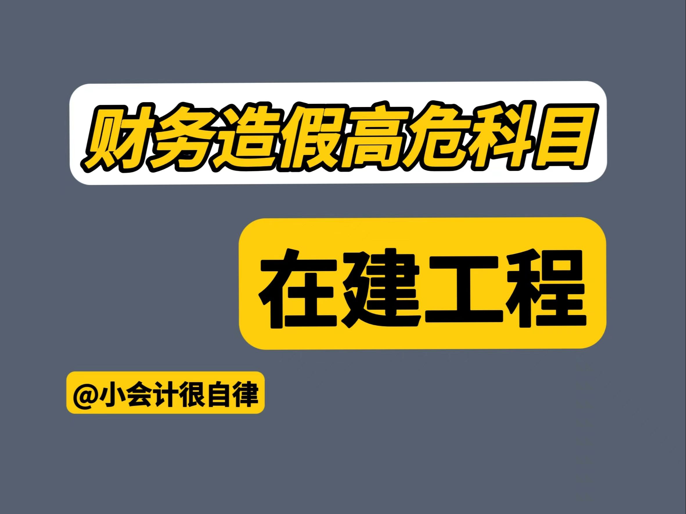 在建工程为什么是财务造假高危科目?哔哩哔哩bilibili