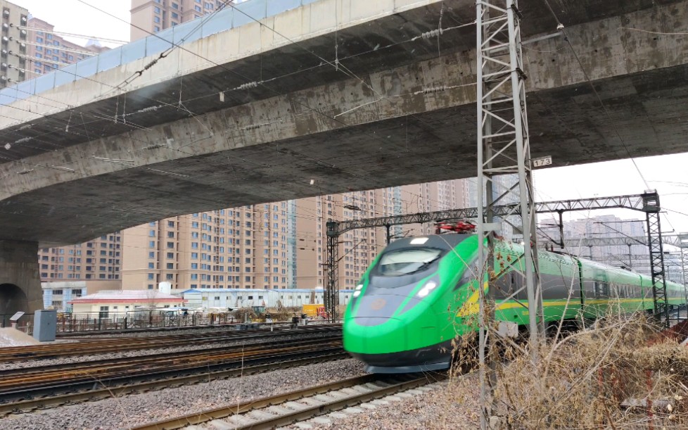 动集d746衡水去北京方向已绿瞎