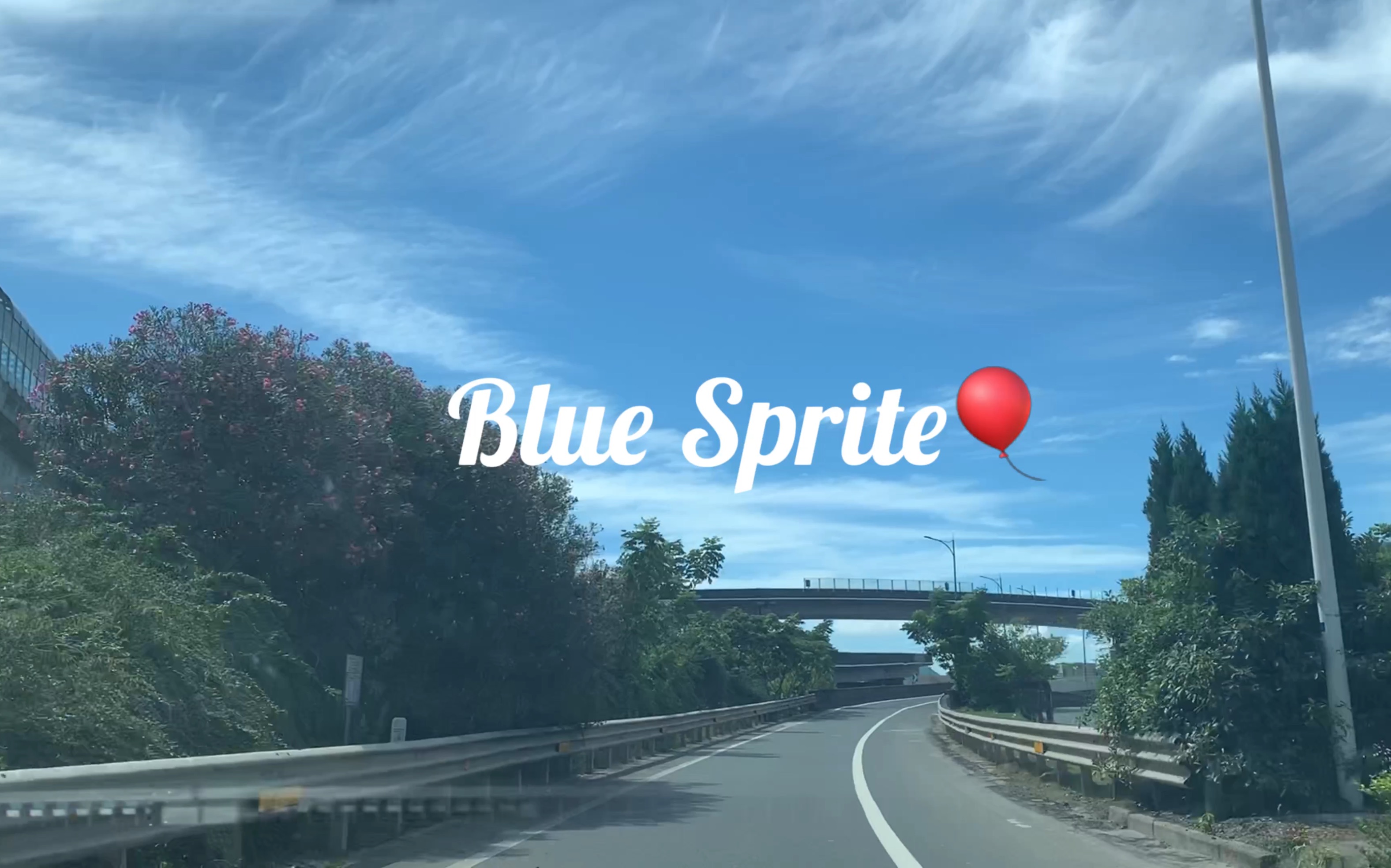 蓝雪碧 4s店一日游