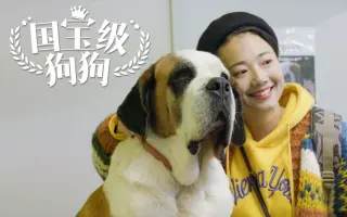 雪山犬王 搜索结果 哔哩哔哩弹幕视频网 つロ乾杯 Bilibili