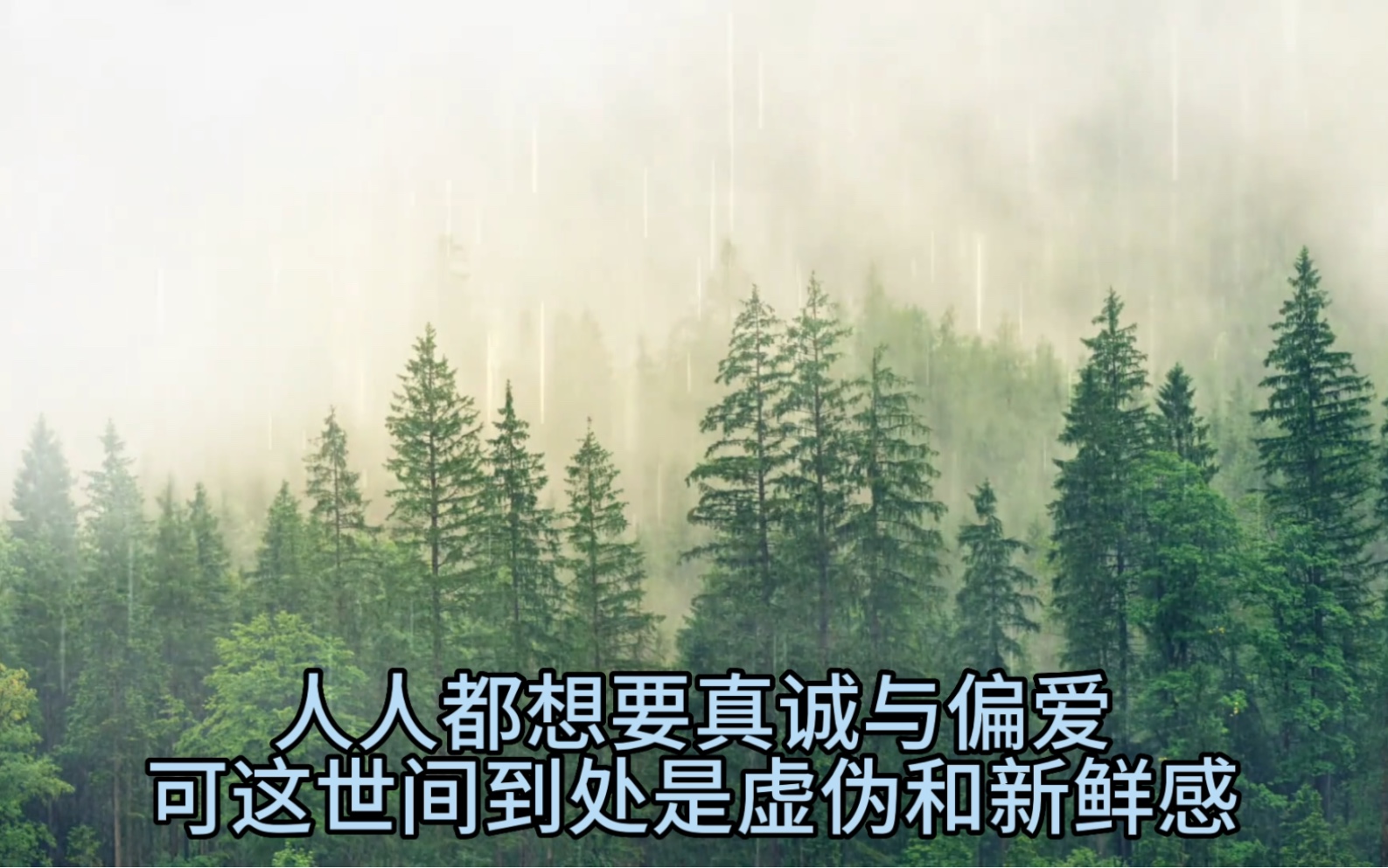 人人都想要真诚和偏爱,可这世间到处是虚伪和新鲜感