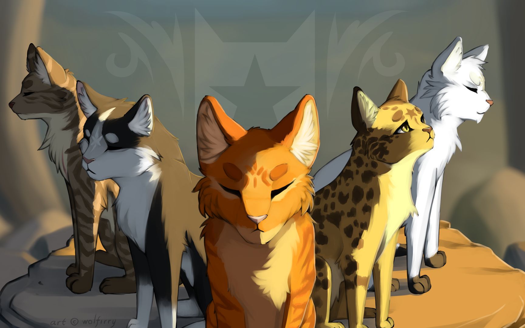 猫武士动画图片