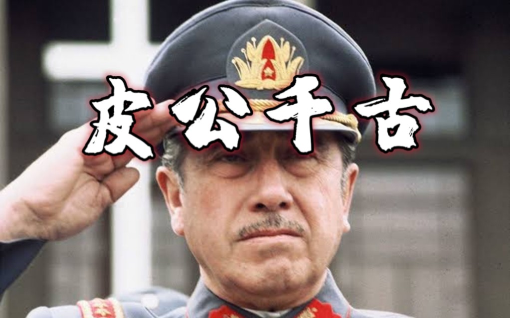 "微皮大帅,吾其披发左壬矣"_哔哩哔哩_bilibili